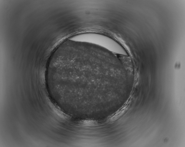 X0000099570154200806061611