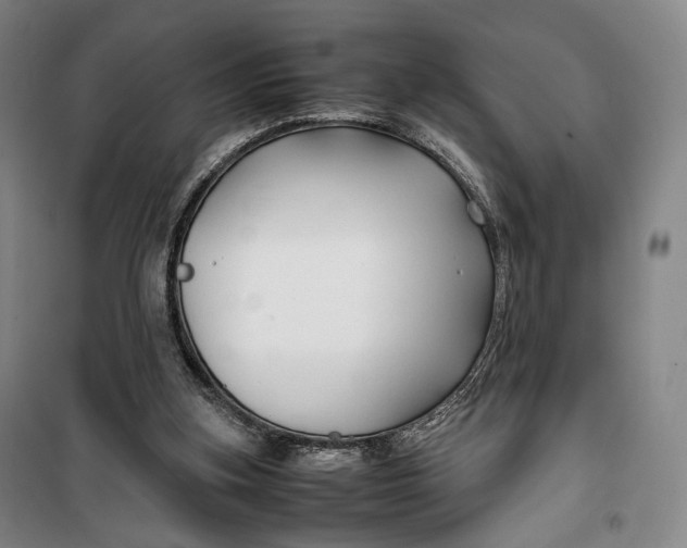 X0000099570155200806061611