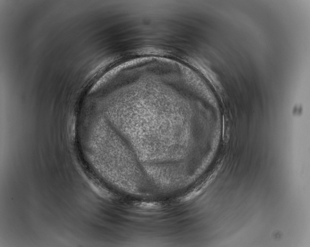 X0000099570157200806061611