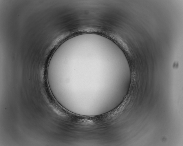 X0000099570159200806061611