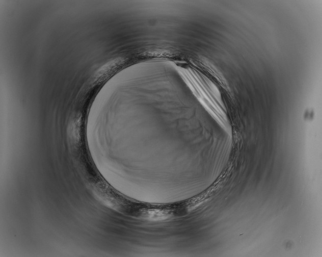 X0000099570163200806061611