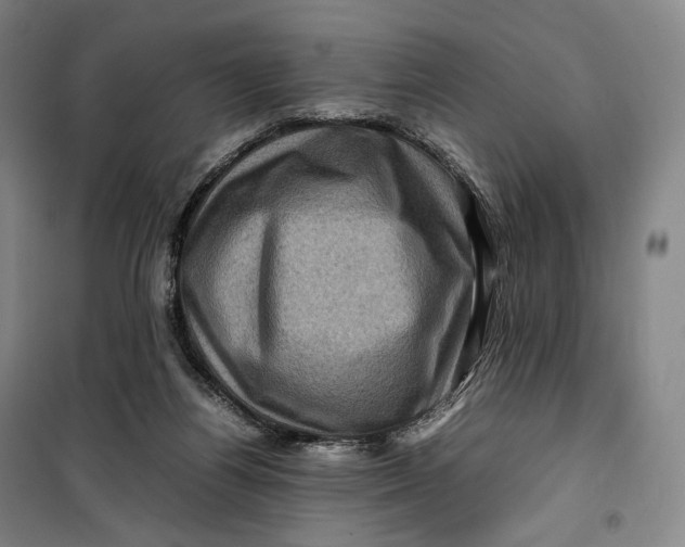 X0000099570164200806061612