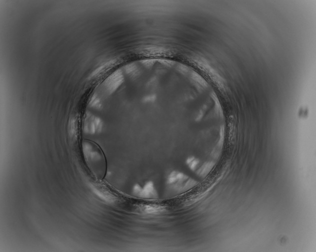 X0000099570165200806061612
