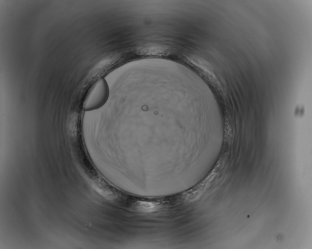 X0000099570167200806061612