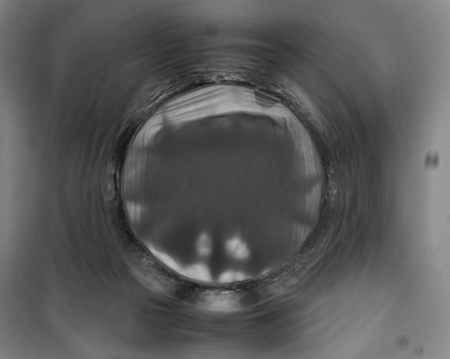 X0000099570169200806061612