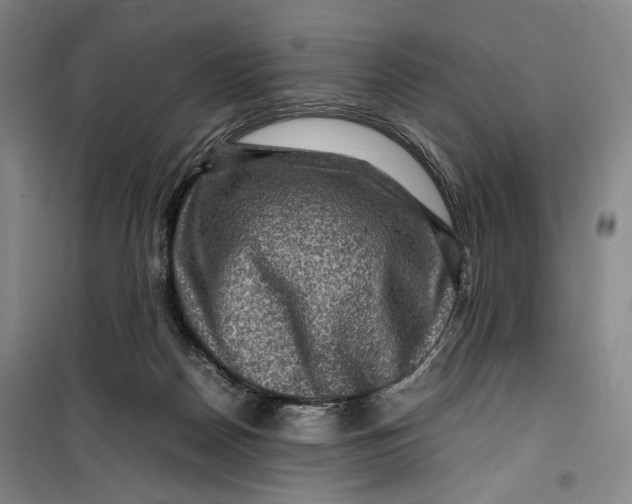 X0000099570170200806061612