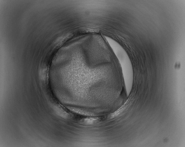 X0000099570172200806061612