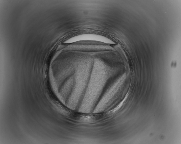 X0000099570174200806061612