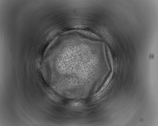 X0000099570175200806061612