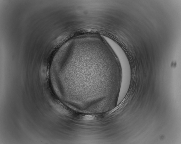 X0000099570176200806061612