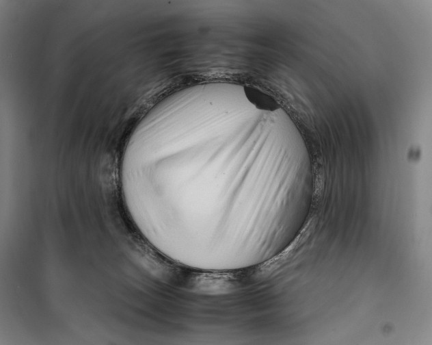 X0000099570179200806061612