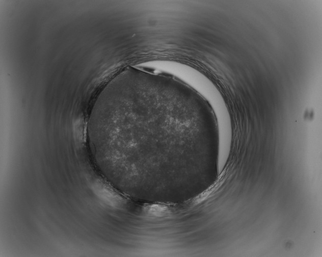 X0000099570180200806061612
