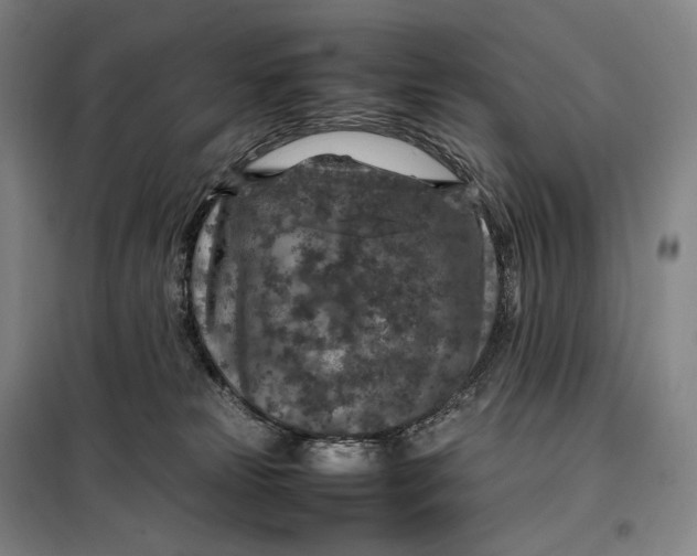 X0000099570181200806061612