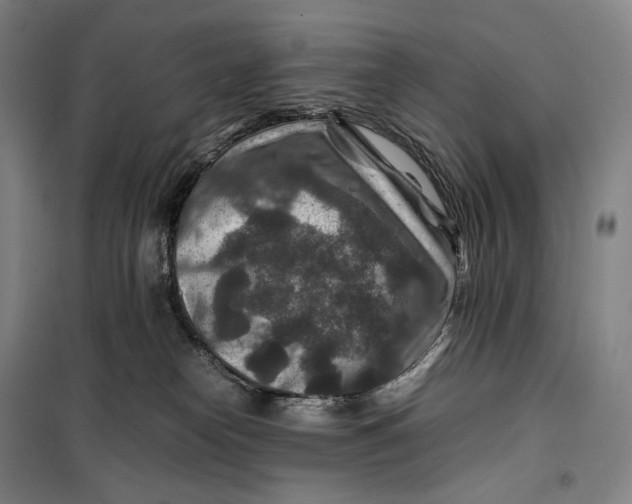 X0000099570182200806061612