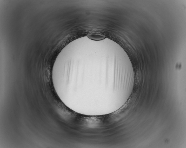 X0000099570183200806061612