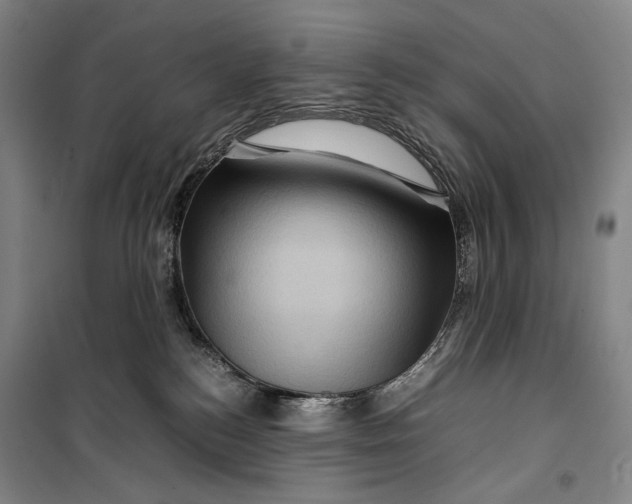 X0000099570184200806061612