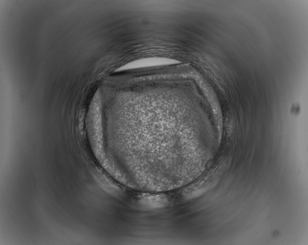 X0000099570185200806061612