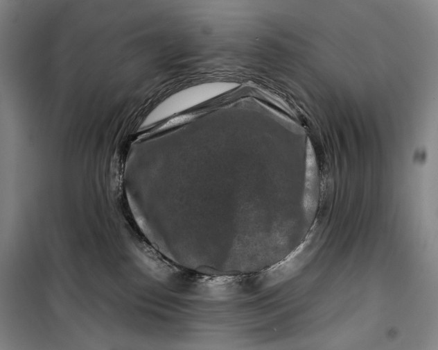 X0000099570186200806061612