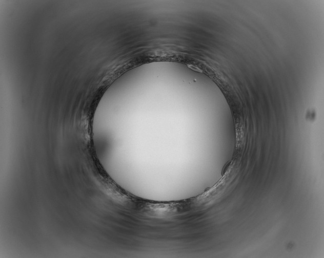 X0000099570187200806061612