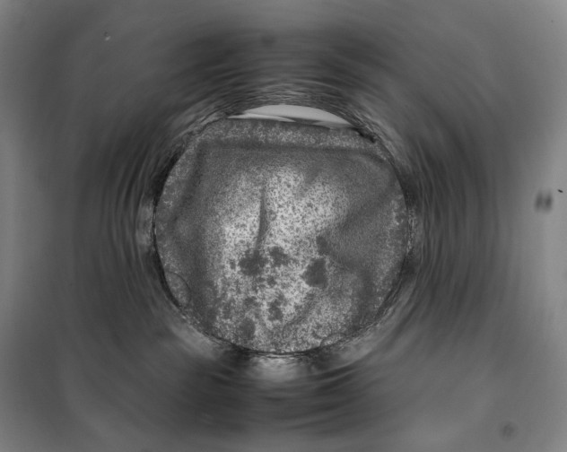 X0000099570189200806061612