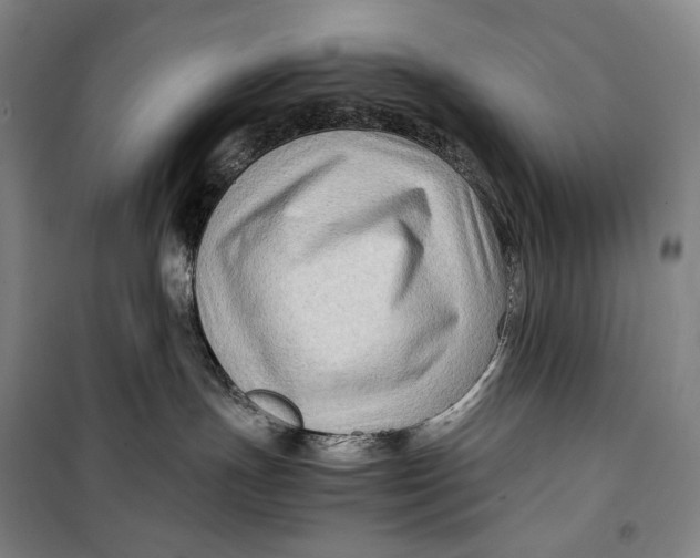 X0000099570191200806061612