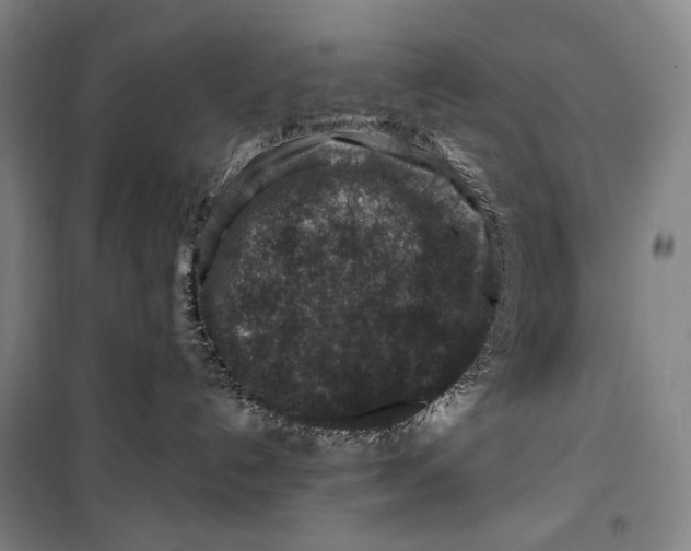 X0000099570192200806061612