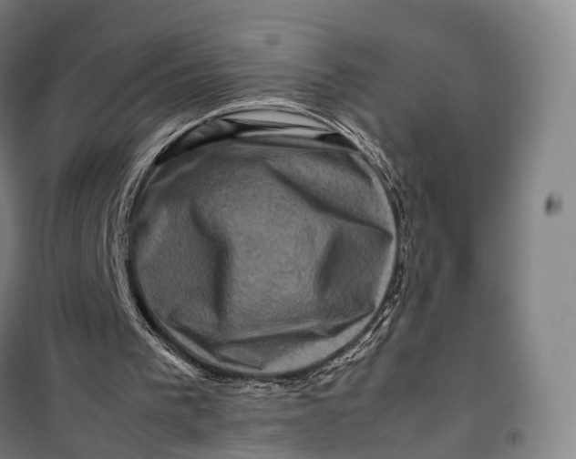 X0000099570193200806061611