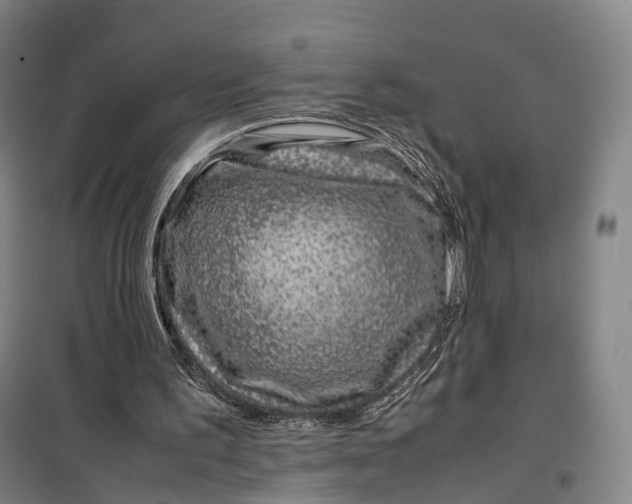 X0000099570195200806061611