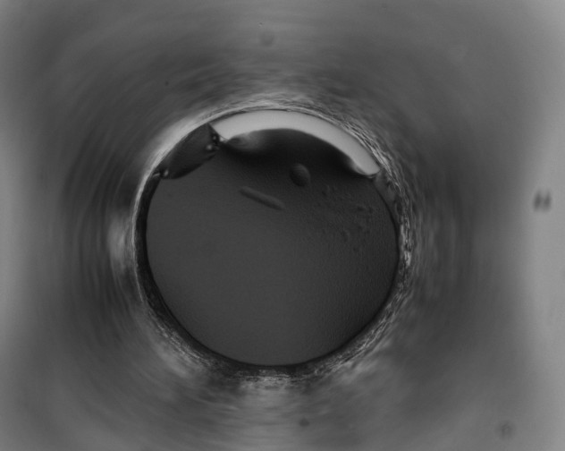 X0000099570196200806061611