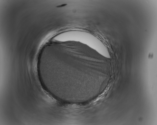 X0000099570197200806061611