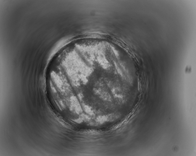 X0000099570198200806061611