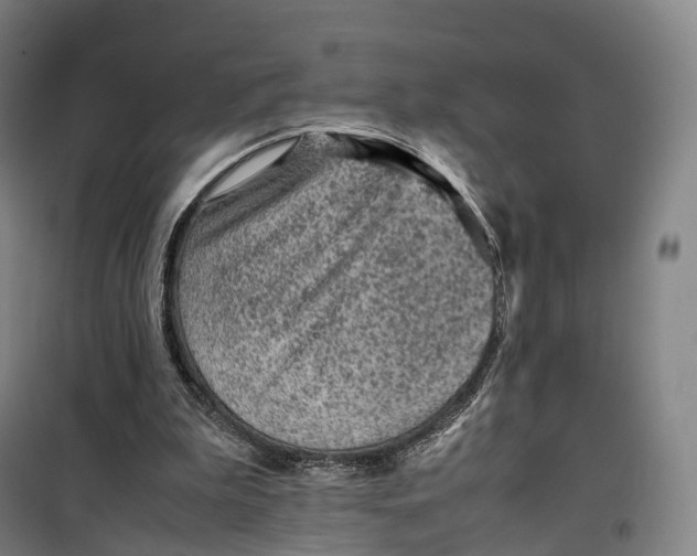 X0000099570199200806061611