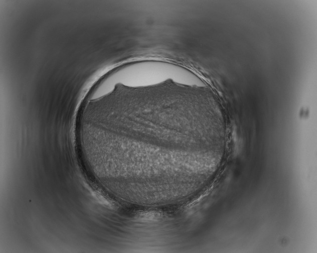 X0000099570200200806061611