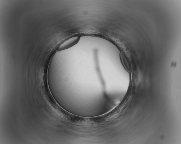 X0000099570201200806061611