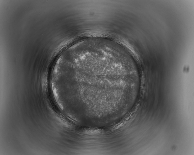 X0000099570202200806061611
