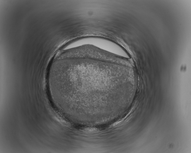 X0000099570203200806061611