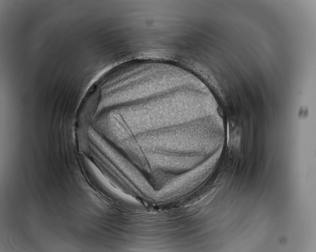 X0000099570204200806061611