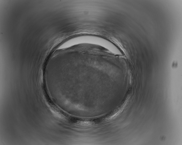 X0000099570205200806061611