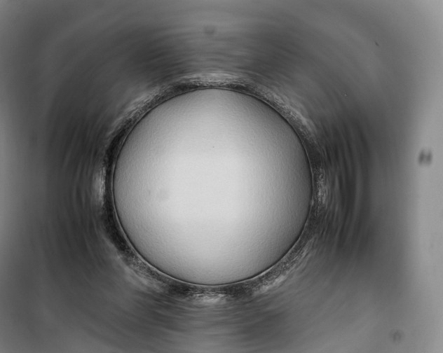 X0000099570206200806061611