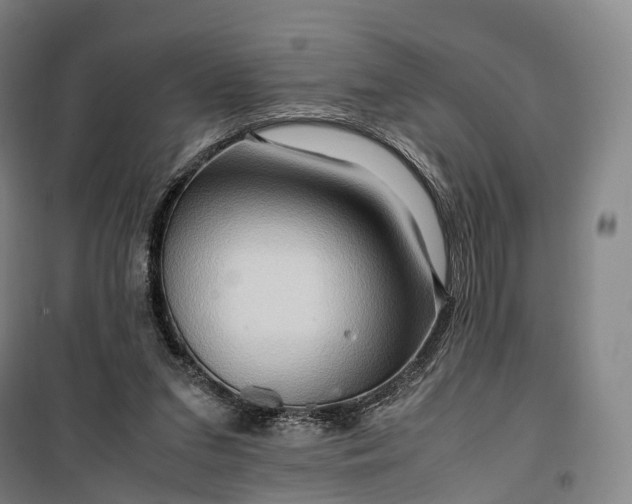 X0000099570207200806061611