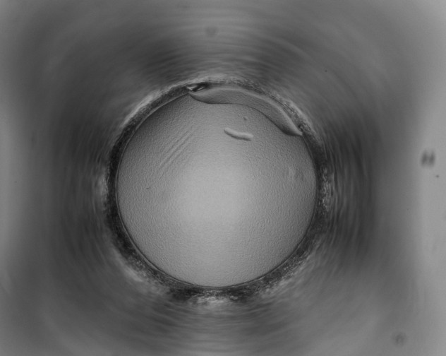 X0000099570208200806061611