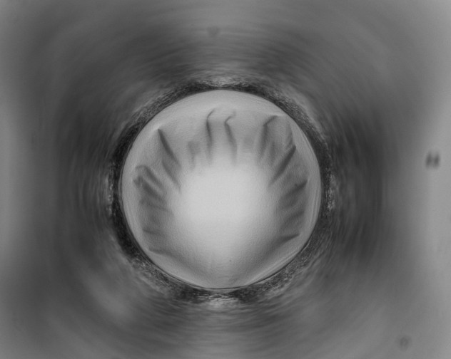 X0000099570210200806061611