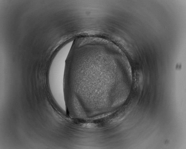 X0000099570212200806061611