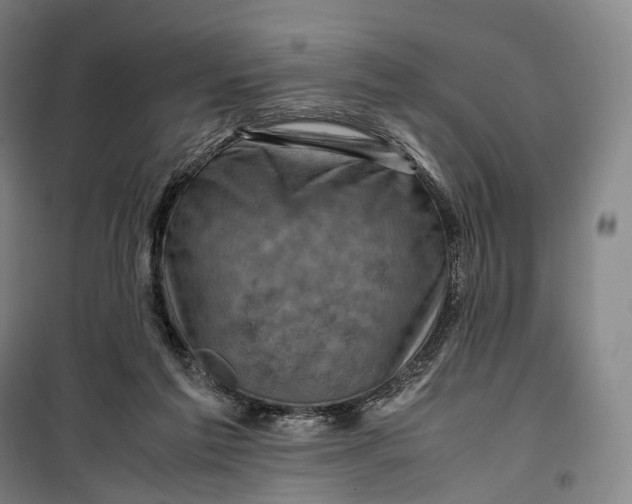 X0000099570213200806061611