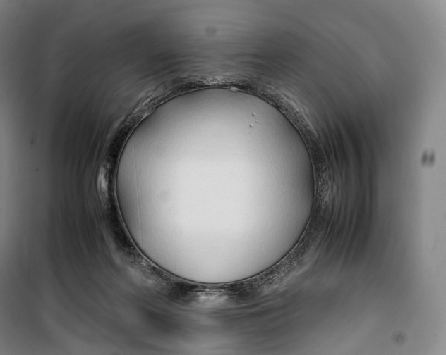 X0000099570214200806061611