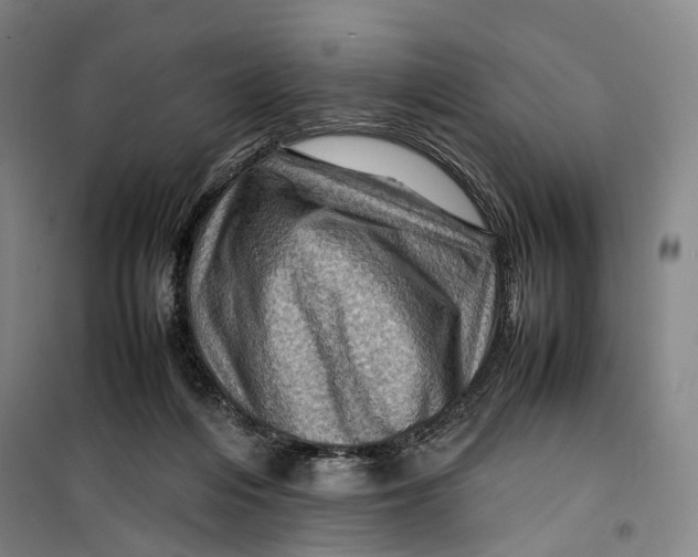 X0000099570216200806061611