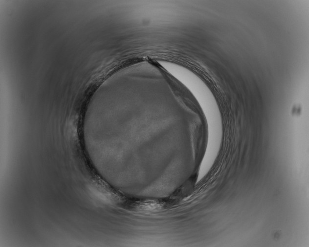 X0000099570217200806061611