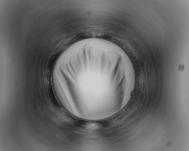 X0000099570218200806061611