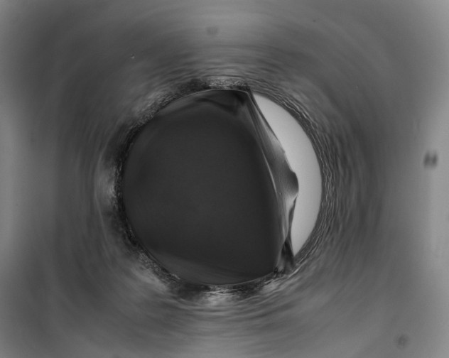 X0000099570219200806061611