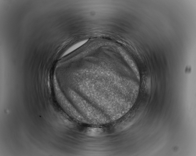 X0000099570220200806061611